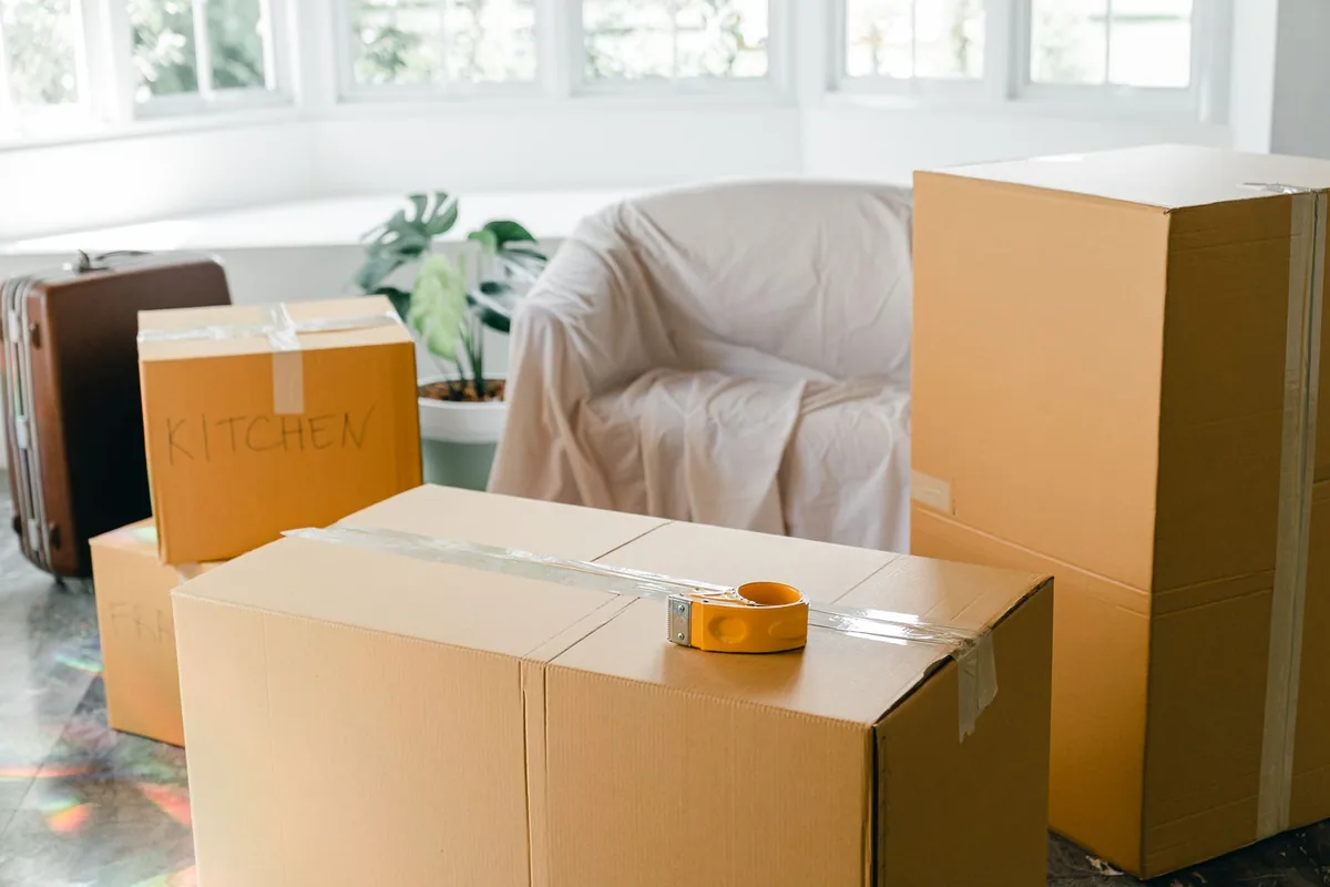 Hoarding Cleanup in Disston Heights, St. Petersburg, FL